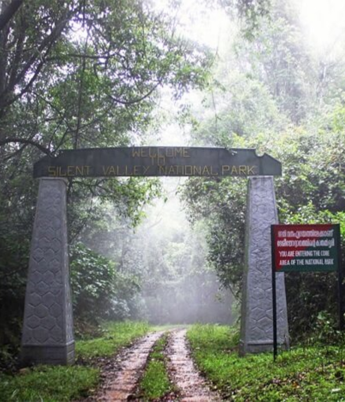 silent-valley